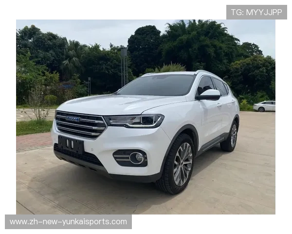 17年2.0T新款哈佛H6，13.98的次顶配，5个多...